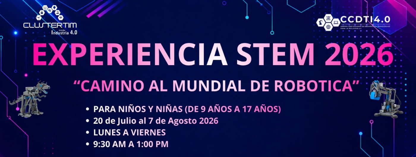 Experiencia STEM